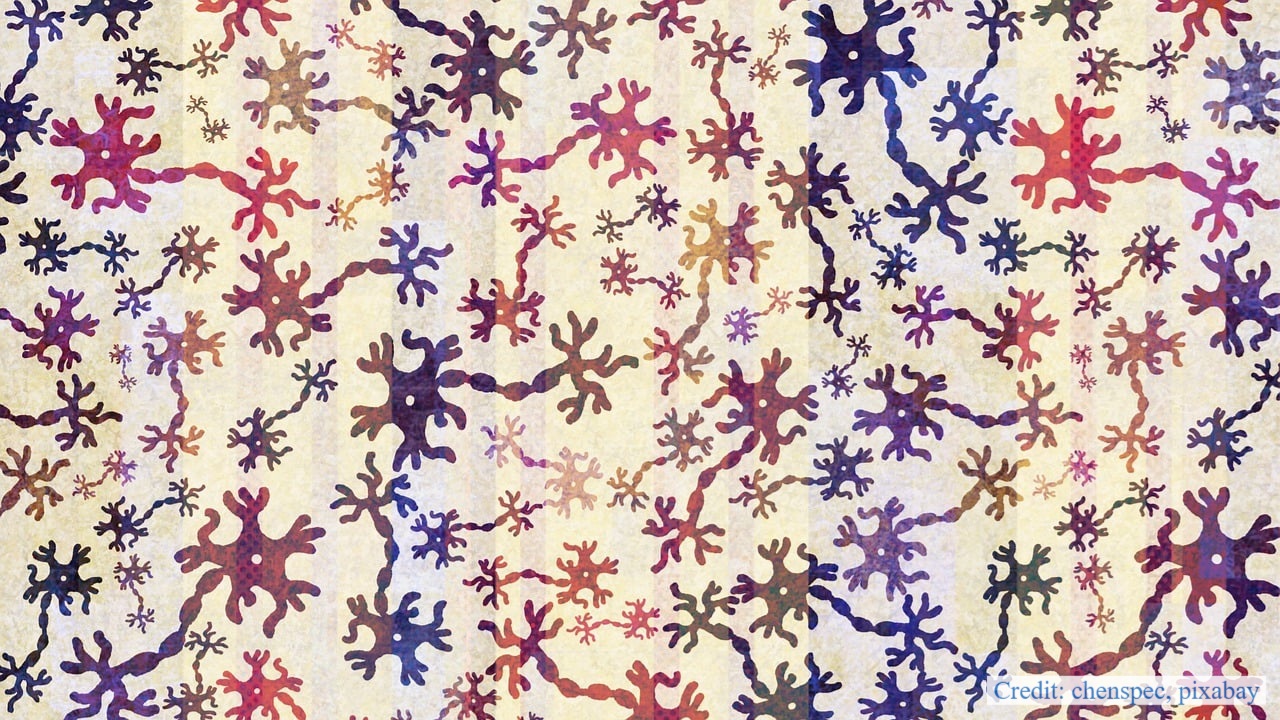 An artistic image of a neuron network